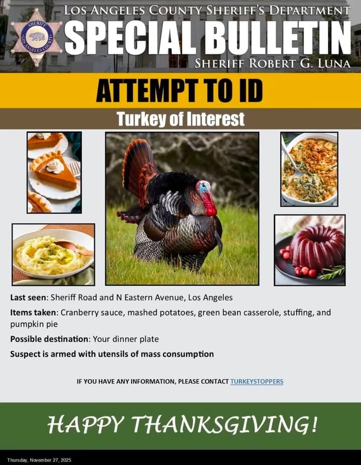 BOLO