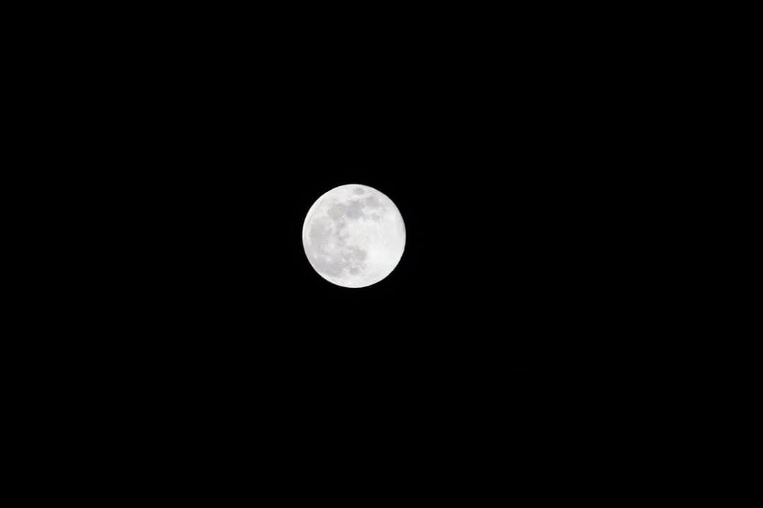 🌕 LOOK UP TONIGHT! Tonight’s Full Cold Moon is shining bright —...