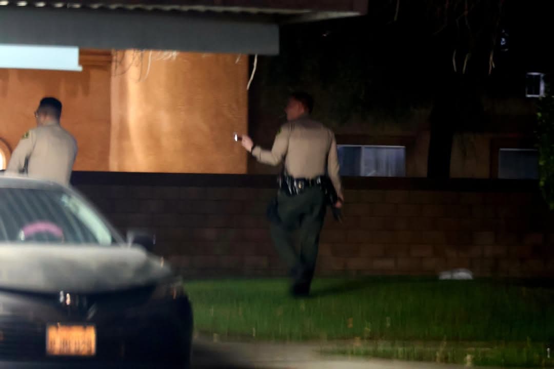 415 family/417....1331 Meadowview Lane....family disturbance, caller states one female has a gun....sheriff...