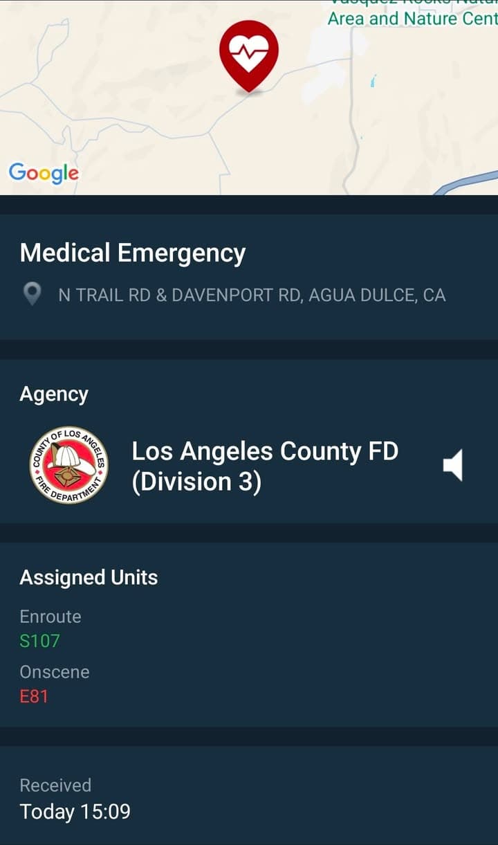 929/902R....Davenport Road and Trail Rd....multiple callers state two juvies down in road....sheriff,...