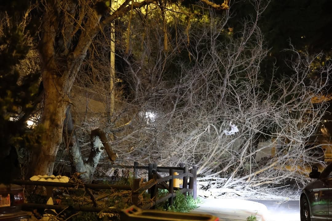 CHP advising two trees down blocking roadway on Avenue J-1 and Fenhold...
