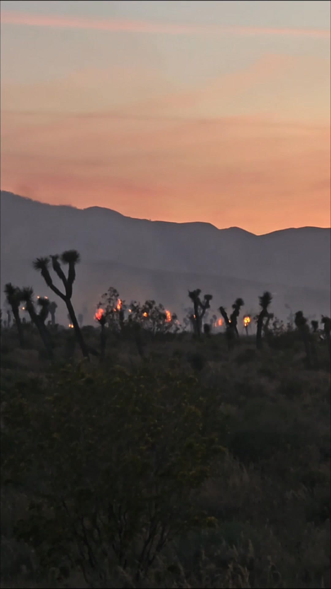 Vegetation fire on Pearblossom Highway and 233rd Street East....fire is approximately 5...