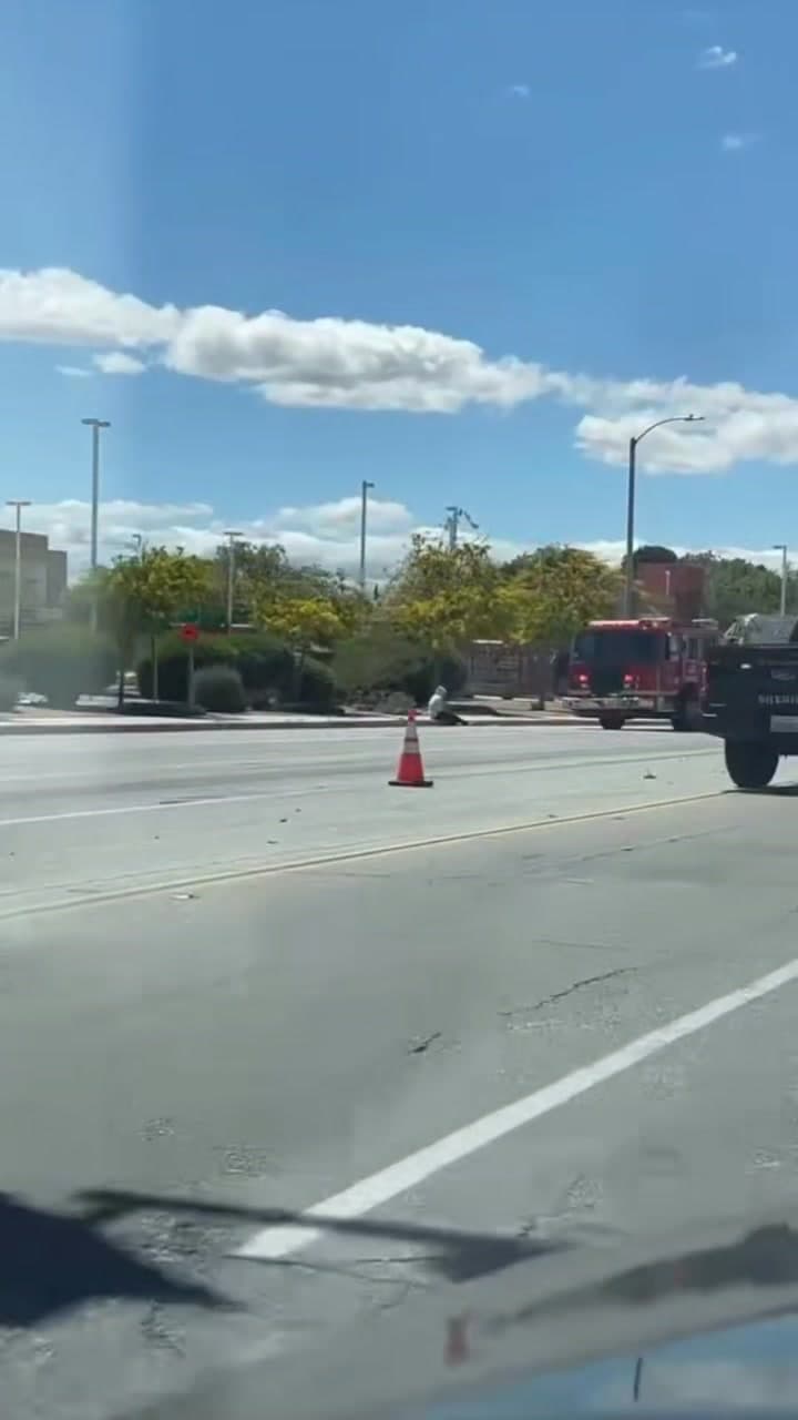 Traffic collsion on 10th Street West and Avenue H just before 2pm...
