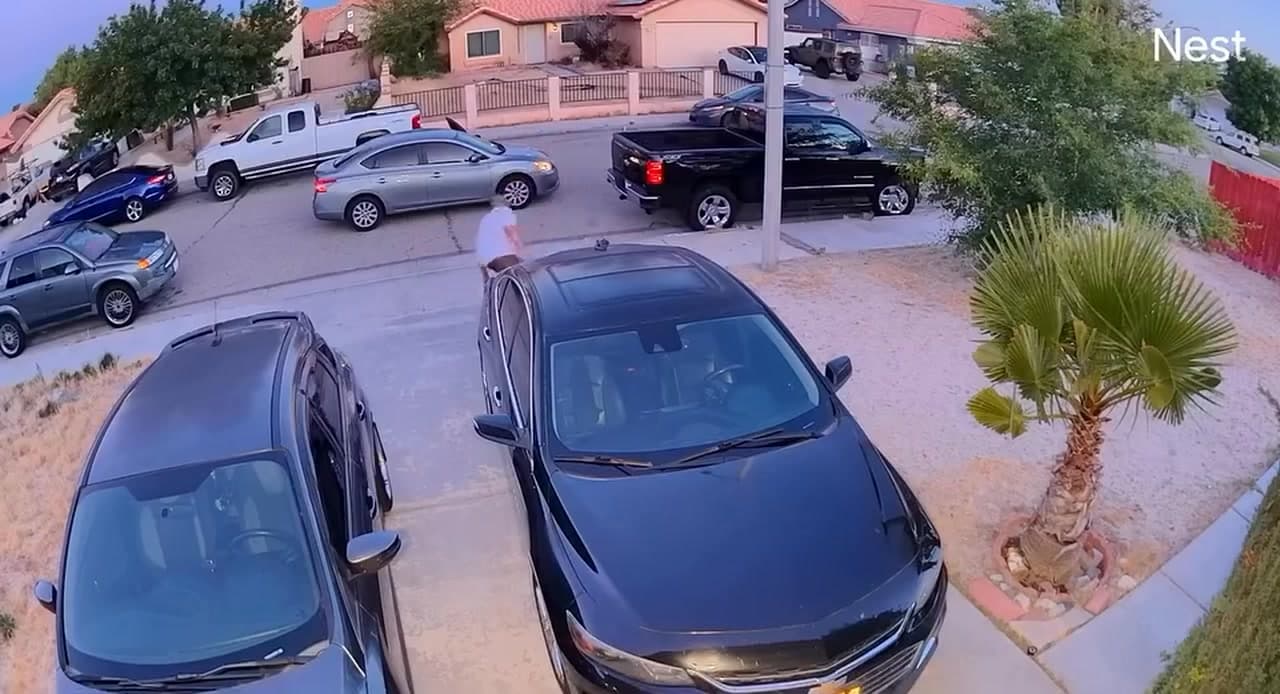 Posting for a follower: Good morning, my neighbors car window was smashed...