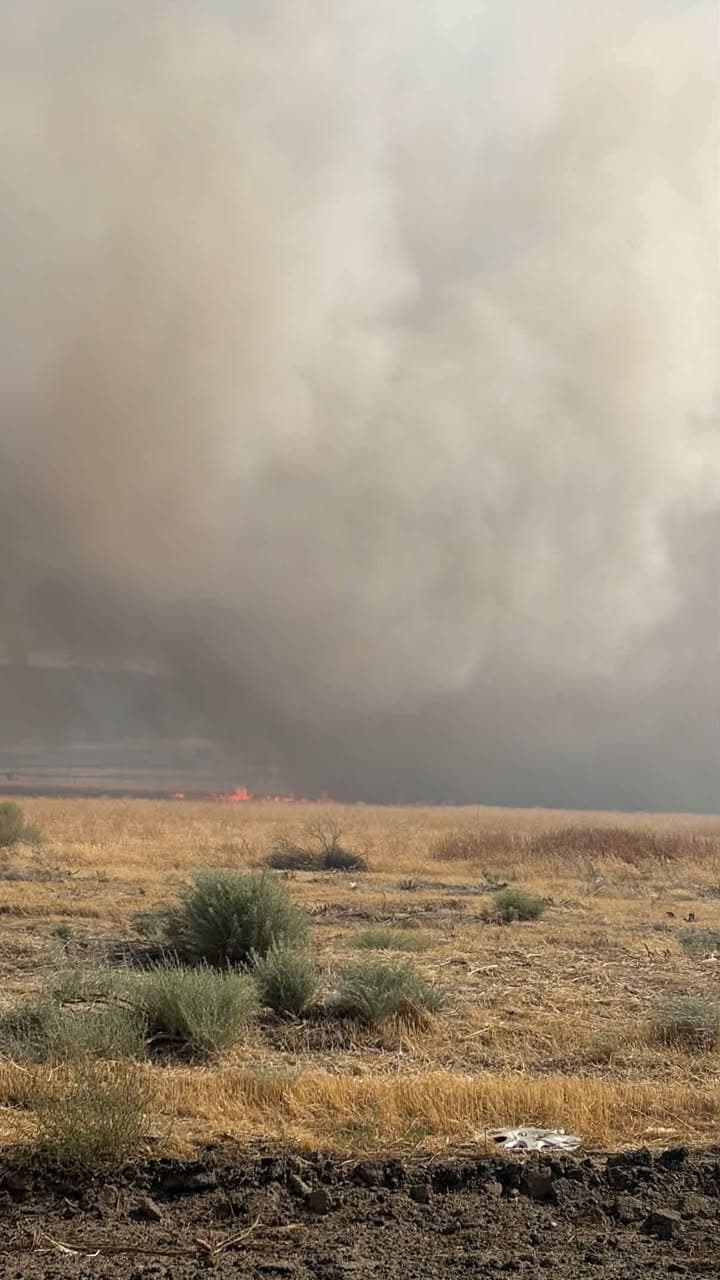 Jarvis Fire Update Forward progress of the Jarvis Fire has been stopped,...