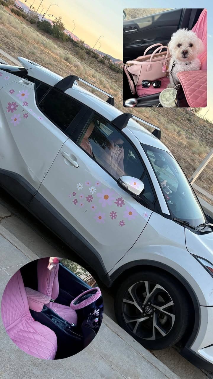STOLEN 2018 Toyota CHR taken from area of 20th Street East and...