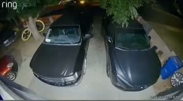 Men in a Corvette are stealing Catalytic Converters in middle of the...