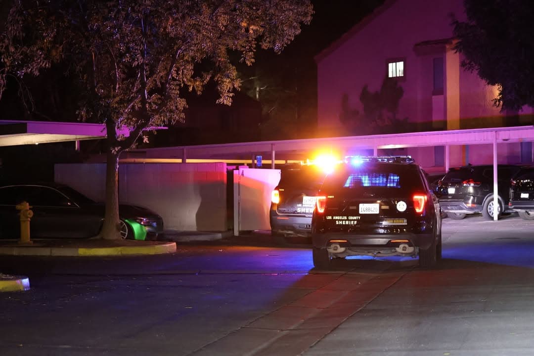 245....43233 Gadsden Avenue....male inside apartment was struck in head by bat, now...
