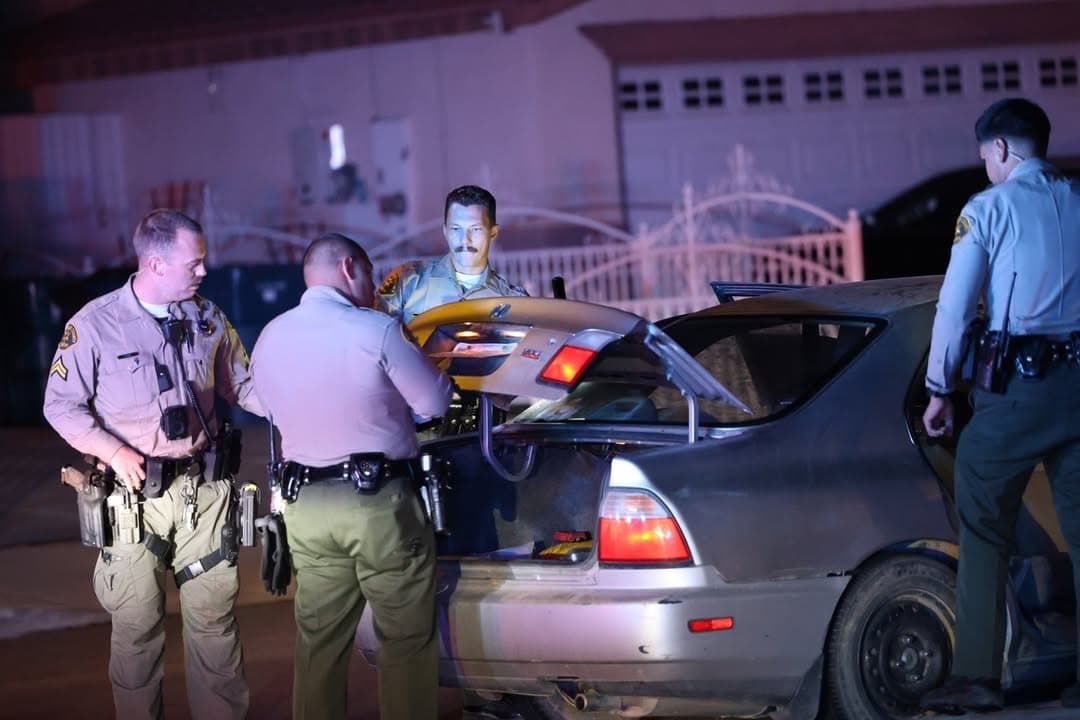 CARJACKING / DOMESTIC VIOLENCE — SUSPECT IN CUSTODY