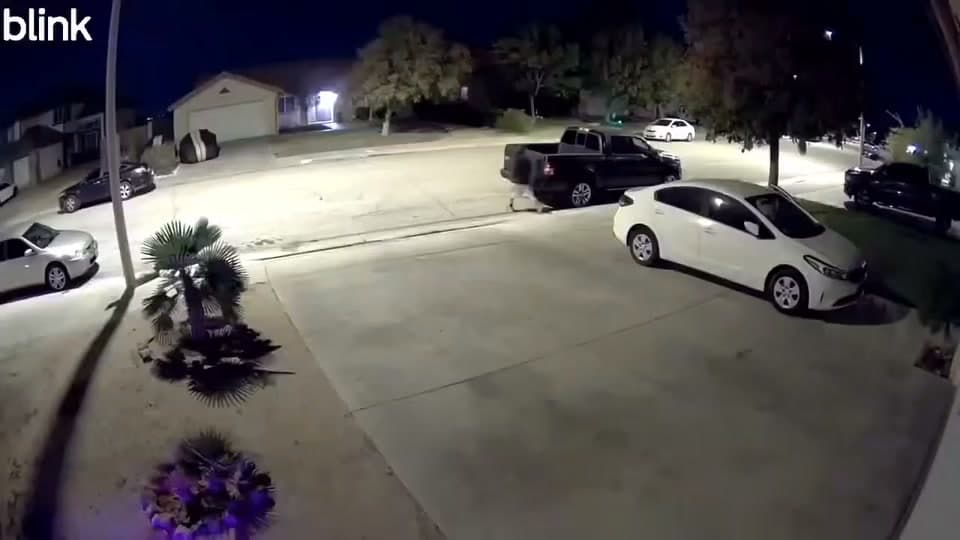 I know you have a lot of messages probably but if you can post this whenever you have time they tried to steal my car on friday at 1am and they been going around the neighborhood.