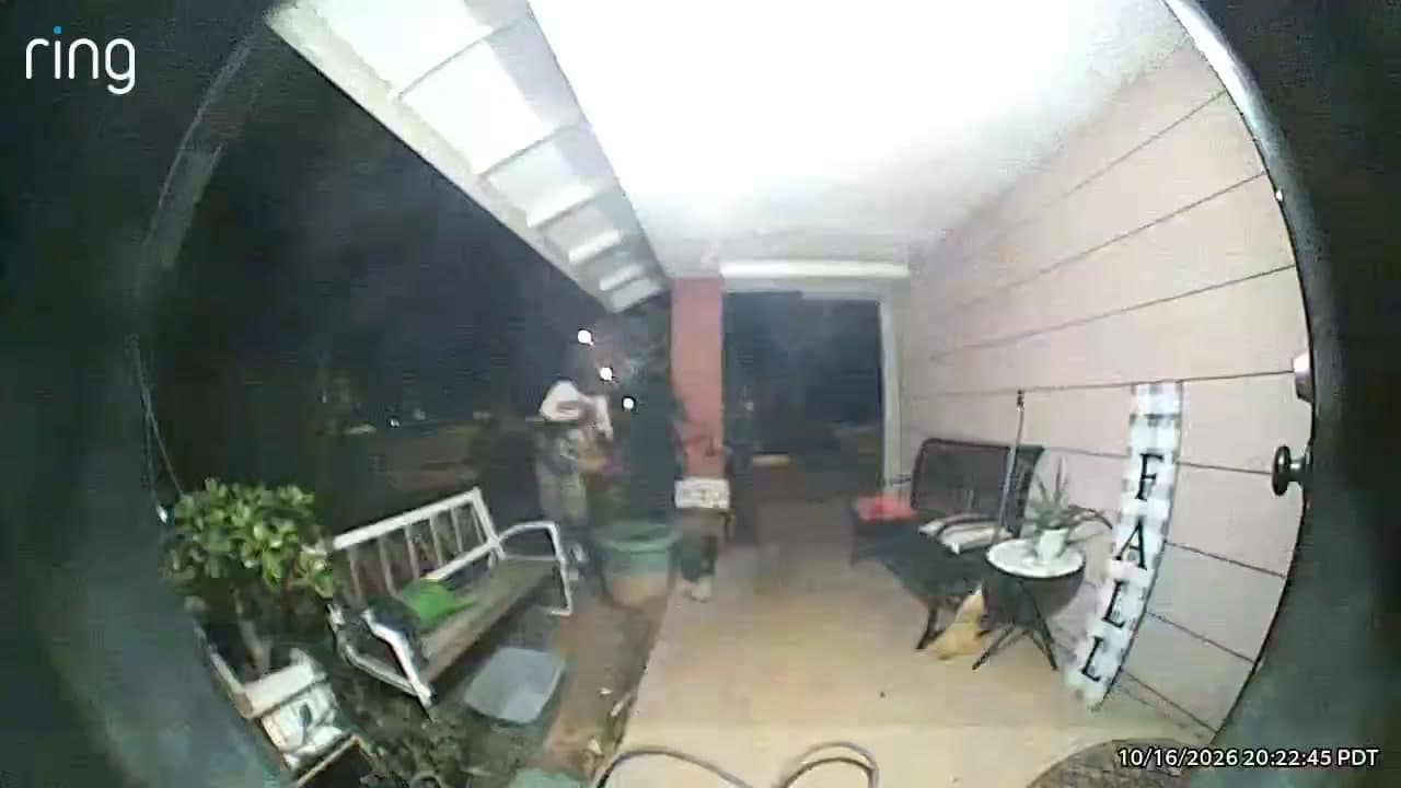 On Friday 10/16 East Palmdale. Another great citizen terrorizing the community. Area of 25th East and Avenue R