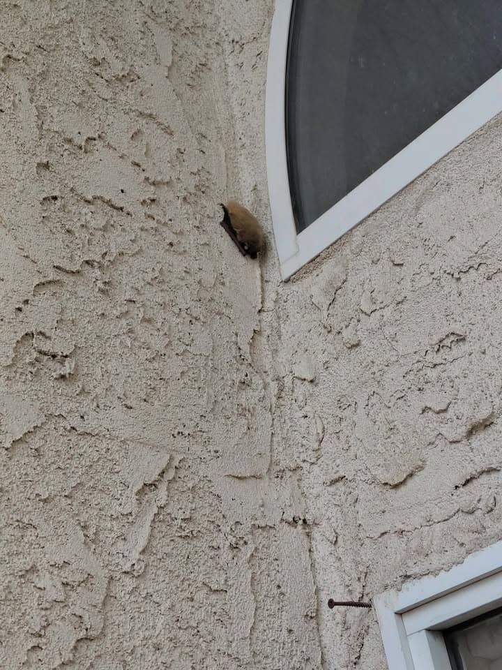 I wanna know if u can post this for me its a bat n front of my house. I don't know who to contact to come & get it. As it is still currently n front of my home. Lancaster area