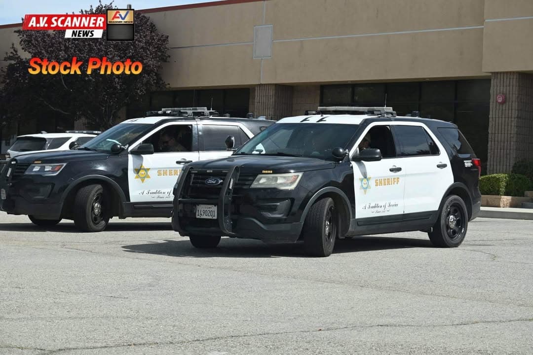 415 fight/415 business/902R…641 W. Palmdale Blvd (American Beauty College)…group of females fight...
