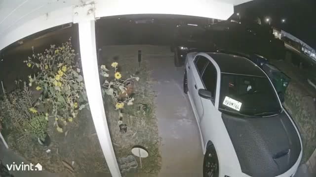 Possible shots fired in area of Division Street and Avenue J at 10:38pm today